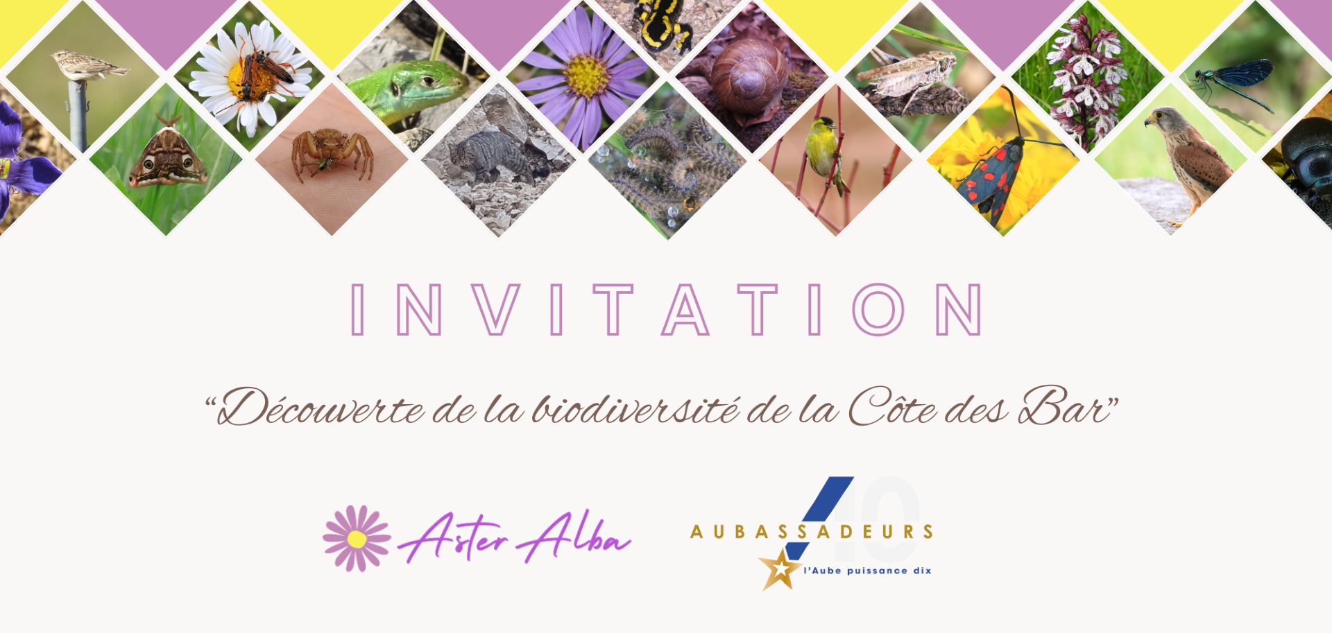 Soirée ASTER ALBA au Centre culturel Marcel Hurillon de Bar-sur-Seine 