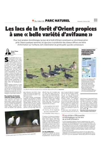Sur les lacs de la forêt d’Orient, propice à une belle variété d’avifaune