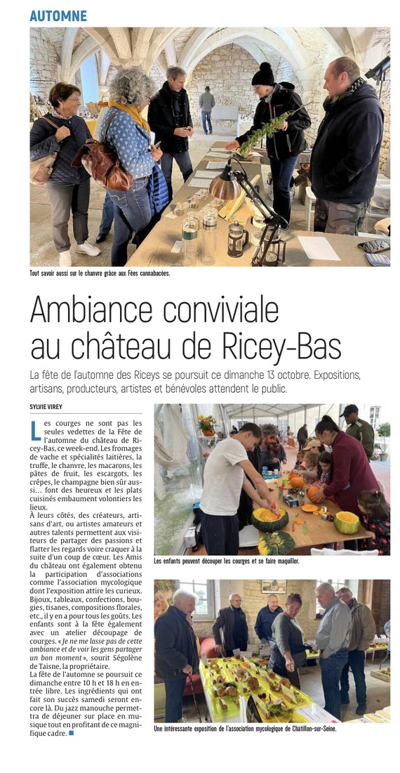 Ambiance conviviale au château de Ricey-Bas