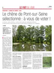 Le chêne de Pont-sur-Seine sélectionné : à vous de voter !