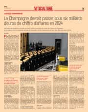 La Champagne devrait passer sous 6 milliards d’euros de chiffre d’affaires e