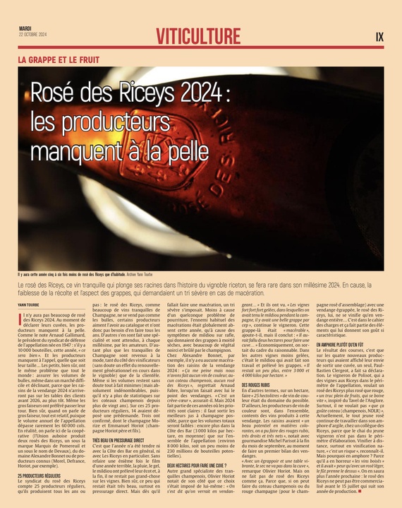 Rosé des Riceys 2024 : les producteurs manquent à la pelle