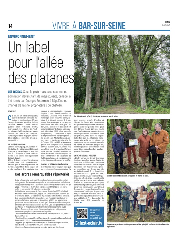 Un label pour l’allée des platanes du château de