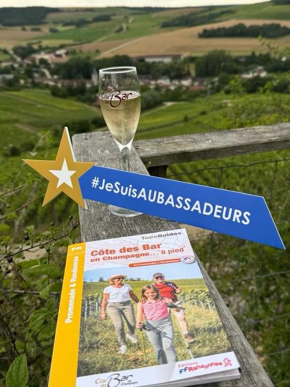 la Côte des Bar en Champagne... à pied à la Grange de Montouillet à Urville