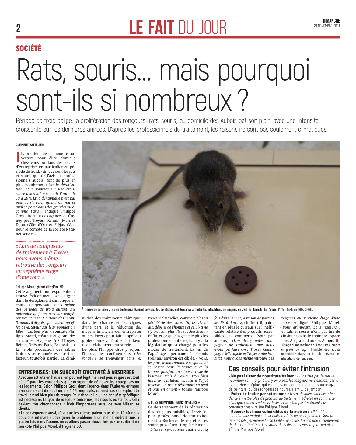 Rats, souris .... mais pourquoi sont-ils si nombreux ?